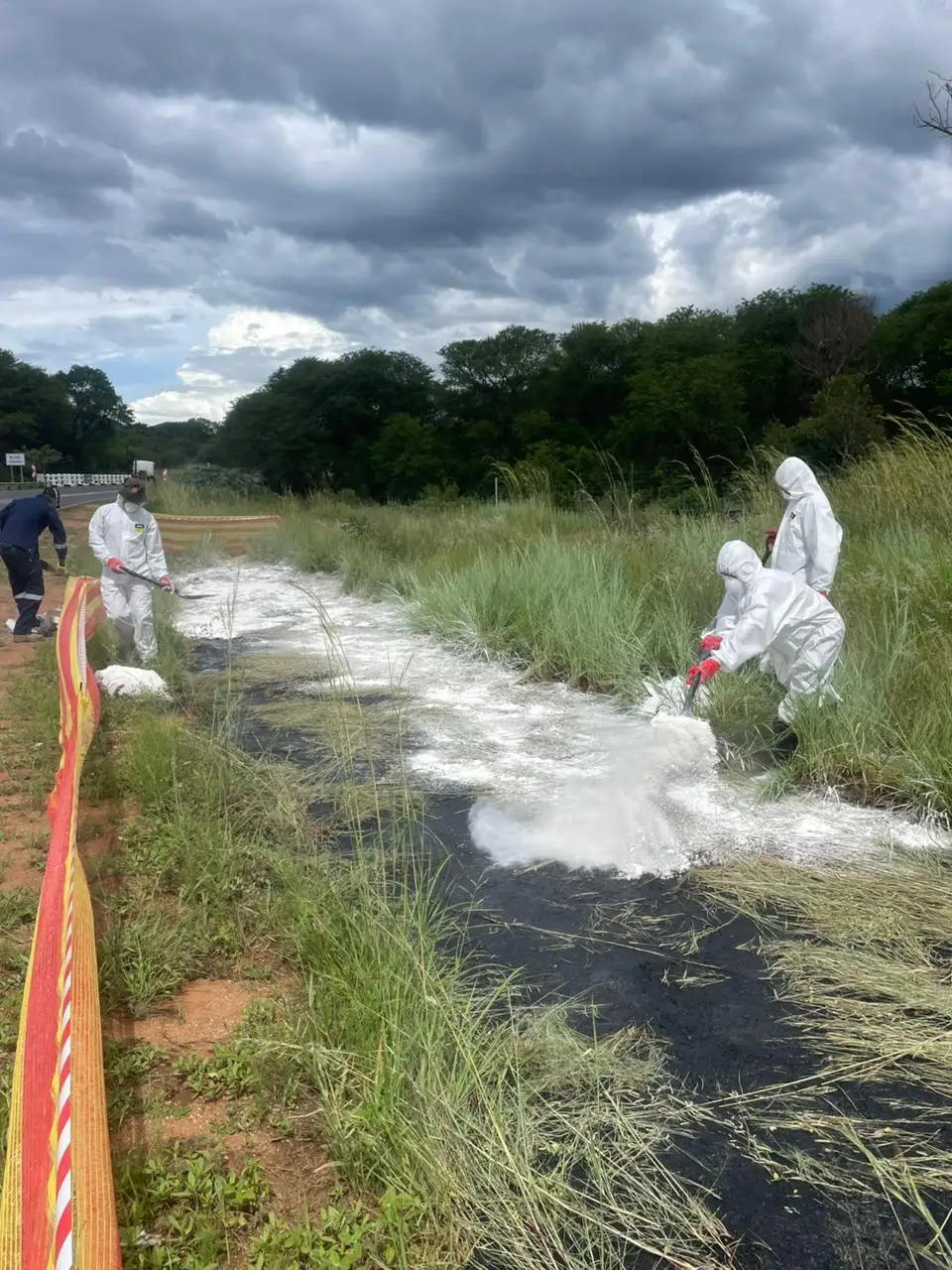 Environmental Assessments